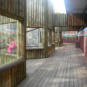 Primate, Cat & Aquatics Building Outdoor Exhibits