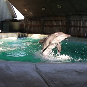 Gulf World Marine Park of Panama City Beach, Florida 2011