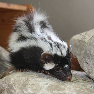 Paradise Wildlife Park 2010