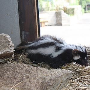 Paradise Wildlife Park 2010