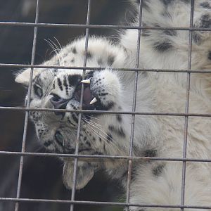 Paradise Wildlife Park 2010