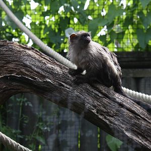 Paradise Wildlife Park 2010