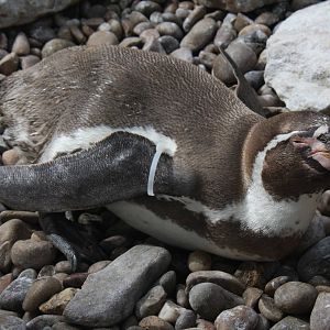 Paradise Wildlife Park 2010