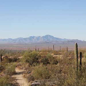 Arizona-Sonora Desert Museum 2010