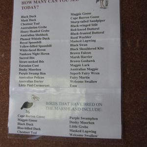 Birds found at Serendip