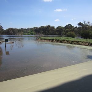 View from Bird Hide