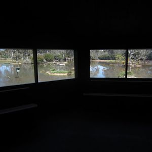 View from within hide