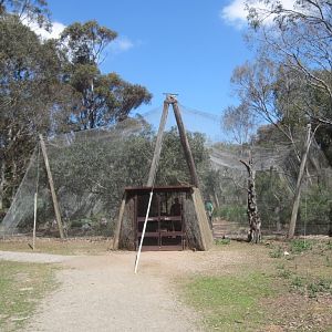 Walkthrough Aviary