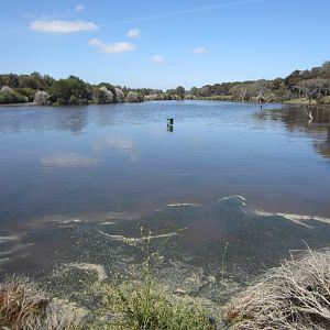 Lake Serendip North Arm