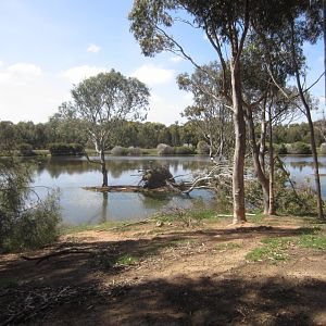 View from Teatree Hide