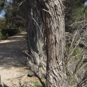 North Arm on left, Lake Serendip on right