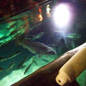 rotterdam port:konstanz sea life