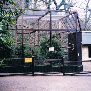 Monkey Enclosure Combe Martin 1996