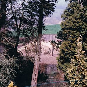 Meerkat Desert Combe Martin 1989