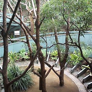 looking down from inside