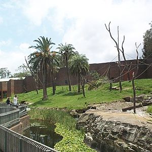 chimp enclosure 2001