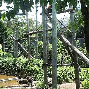 another view into the Orangs