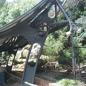 snow leopard exhibit Dec2001