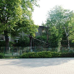 Roadside Coati Enclosure at Dresden, 29/08/12