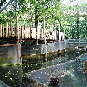 Mandrill Indoor Enclosure at Dresden, 29/08/12