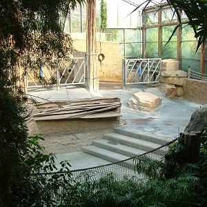 African Elephant Indoor Exhibit at Dresden, 29/08/12