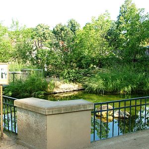 Lemur Walkthrough at Dresden, 29/08/12