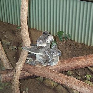 mother and child Dec 2001