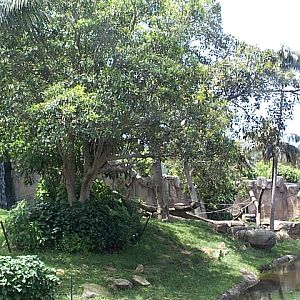 another view dec 2001