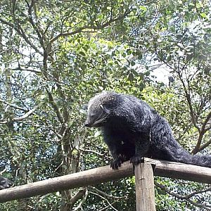 you can't sleep there!