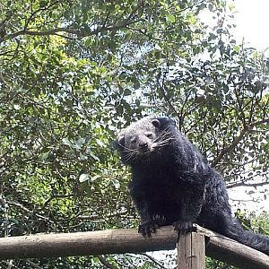 tell him he can't sleep there