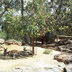 I know how you feel Dec 2001!