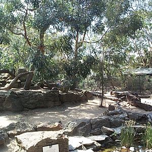 outback walk through