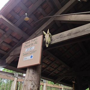 Waiting Are for Tram Ride