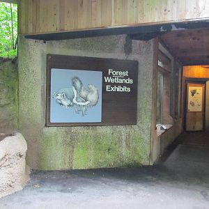 Forest and Wetlands Exhibits