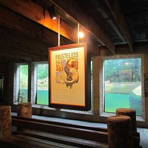 Viewing Area for River Otters