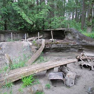 American Badger Exhibit