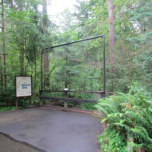Snowy Owl Aviary