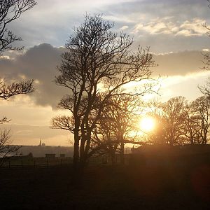 Sewerby Hall and Gardens, sunset over the clifftop paddocks 17th November 2
