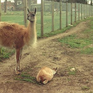Sewerby Hall and Gardens early 1990s