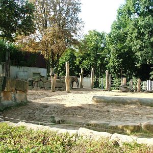 Elephant Paddock at Dresden, 29/08/12