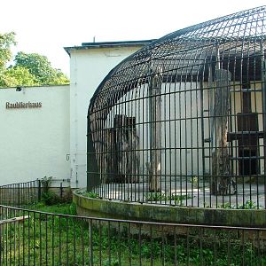 Carnivore House at Dresden, 29/08/12