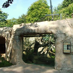 Caracal Exhibit at Dresden, 29/08/12