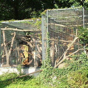 Marten Exhibits at Dresden, 29/08/12