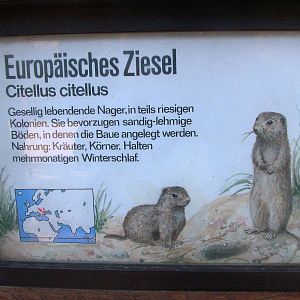 Signage Example at Dresden, 29/08/12