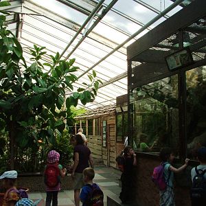 Terrarium Interior at Dresden, 29/08/12