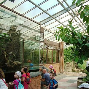 Terrarium Interior at Dresden, 29/08/12