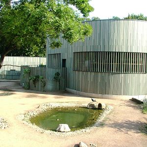 Giraffa House and Paddock at Dresden, 29/08/12