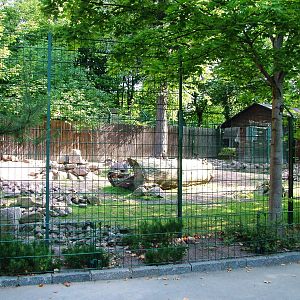 Goral Enclosure at Dresden, 29/08/12
