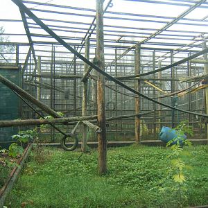 View of inside the green mile cages