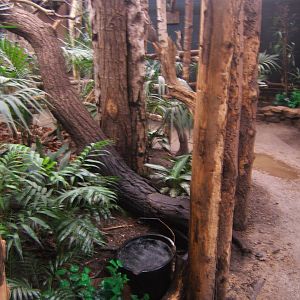 View inside of a slight water leak in the Tropical House